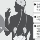 남자 뱃살 빼는법 이미지