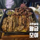 황금모이집
