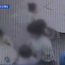 부산유치원 이미지