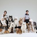 카페히릿 이미지