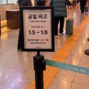 이즈약국 | 대마도 노바호 히타카츠 IN 이즈라하 OUT 내돈내산 후기 :: 발권 탑승시간 멀미팁