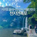 만연폭포 공중화장실 | 제주 서귀포 올레시장 근처 가볼만한곳 8월 9월 천지연폭포에서 시원하게!