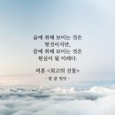 소나무와솔방울