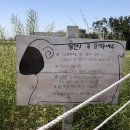 현수목장 이미지