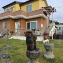 봄여름가을겨울펜션민박 이미지