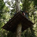 블루라군 이미지