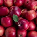 달콤한 사과이야기 이미지