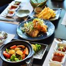 대포해송 이미지