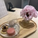 메리엘 | 강남역 밝은홀 세인트메리엘 계약 후기