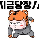 정수태권도장 이미지