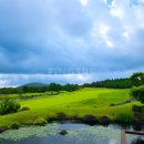 핀크스GC(회원제 18홀) | 핀크스+블랙스톤+엘리시안CC 2월 최상급 제주골프패키지 추천