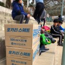 용인대 한겨레 태권도 이미지