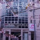 닥터맘(성북/강북/도봉/노원) 이미지