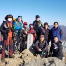 신정초 사거리(4) 이미지