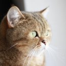 더큰사랑약국 이미지