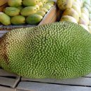 과일천국 이미지