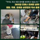 장수서창동-1 이미지