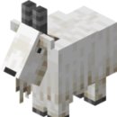 염소연구소 이미지