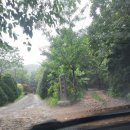 파주파인밸리 이미지