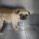 고산지구대 이미지