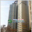 새상아약국 이미지