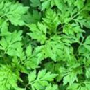 춘하추동한의원 이미지