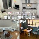 어린왕자스파애견펜션 | 양평 가성비 애견동반 펜션 양평 블러썸 애견동반 스파 펜션 내돈내산 솔직 후기