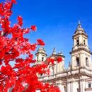 에비뉴엑스호텔(AVENUEX HOTEL) | 콜롬비아 인기 여행지 - 최고 인기 도시의 호텔을 만나보세요