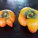 은곡농장 이미지