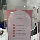 씨즈더뷰티