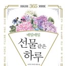선물하루 이미지