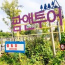 충남 예산 캠핑장 팜앤투어 UNA 유나 왕도토리 돔 면텐트 추천