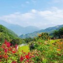 준성리조트