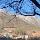 금정사슴목장 | 18.10.05. 흑염소고기 및 흑염소엑기스(진액,즙) 네이버 모바일 파워링크 판매업체 조사