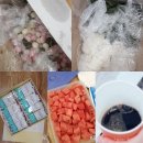 파워로빅 이미지