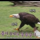 머리농장 이미지