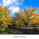 하곡마을 이미지