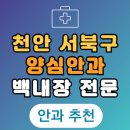 청주 서북구 백내장 전문 병원 List 수술 잘하는 안과 추천