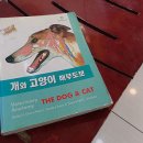 홈펫동물병원 티스토리