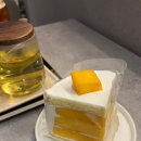 몽땅9 | 성심당 망고시루 이후 찾은 망고 케이크｜서울 근교 새벽 카페 헨지 망고몽땅케이크 비교 후기