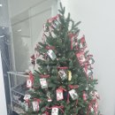 태권TREE 이미지