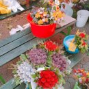 코코민박 이미지