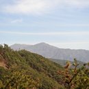 산수림