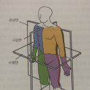 신체발란스운동연구소 이미지