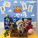칸커피 | [인천청라] 애견카페 칸지독 방문후기