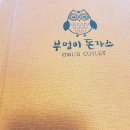 부엉이덮밥집