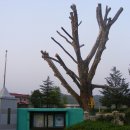 와촌초등학교 이미지