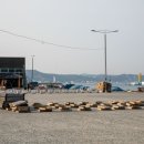 구선장장어구이,회 | 부산 기장 일광 맛집 구선장횟집 일광 점심맛집 후기