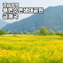 북면생태공원(다목적광장) | 창원 가볼만한곳 북면수변생태공원 금계국 둘레길 데이트 자전거 코스