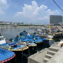 동삼동 어촌체험마을 이미지